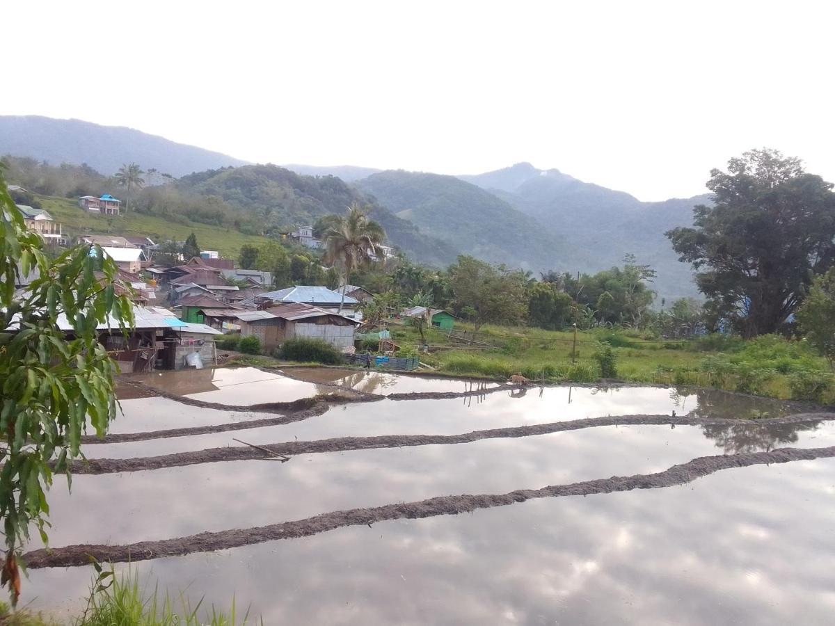 Shila Guest House Kelimutu Luaran gambar